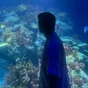 @nicholas29.29