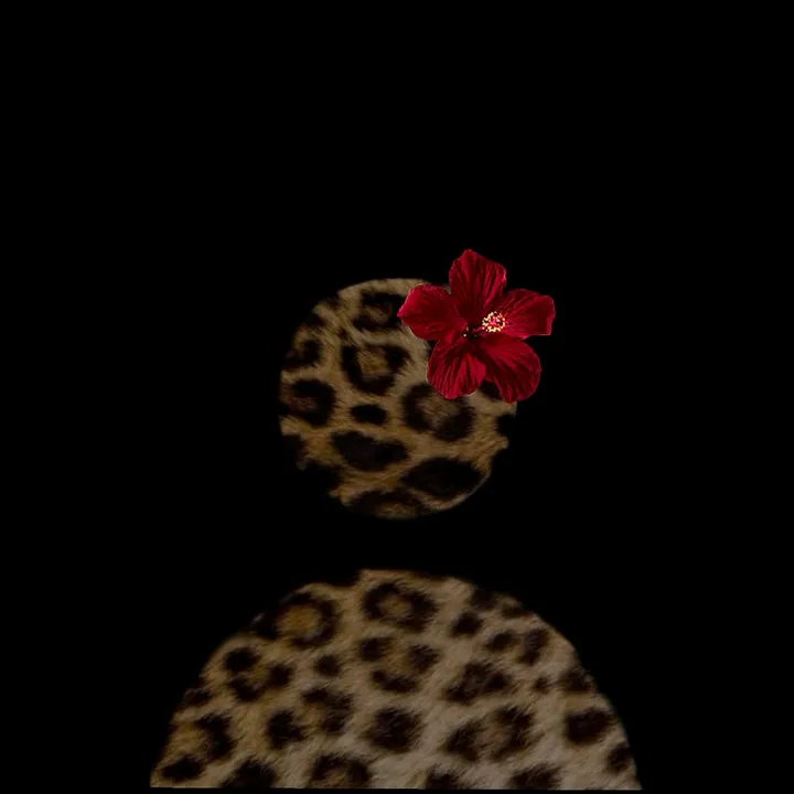 @timcsi390