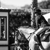 julia_.equestrian_