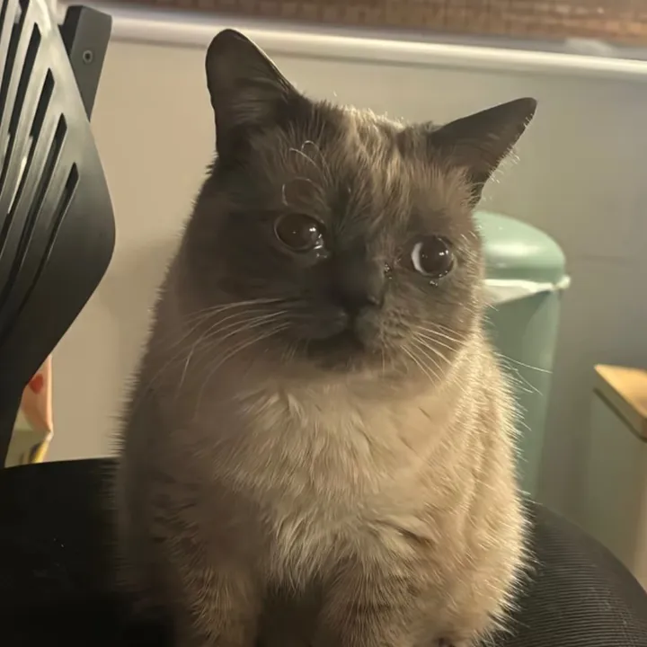 smukersss