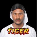 @taleoftiger