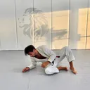 @jiujitsuflo