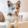 cruisethepomsky
