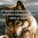@andreea8796