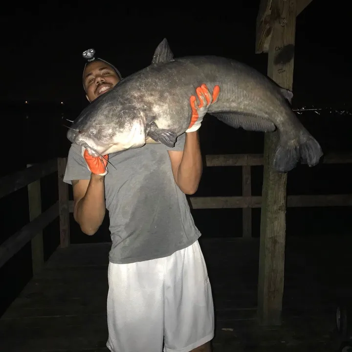 fish_boy_flaco
