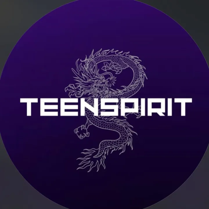 @teenspirit.team