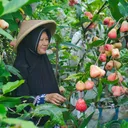 @kampunghalamanofficial