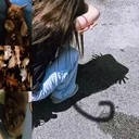 @smkinwdq