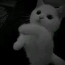 @jadesoll