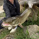 @fattbassfishing