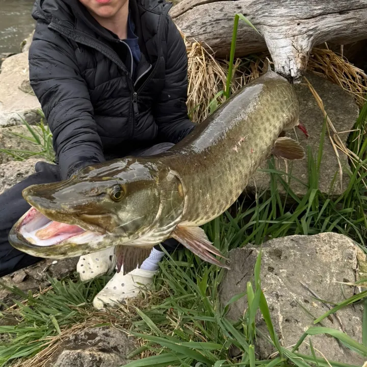 fattbassfishing