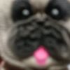 cleitinho_adms