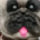 @cleitinho_adms