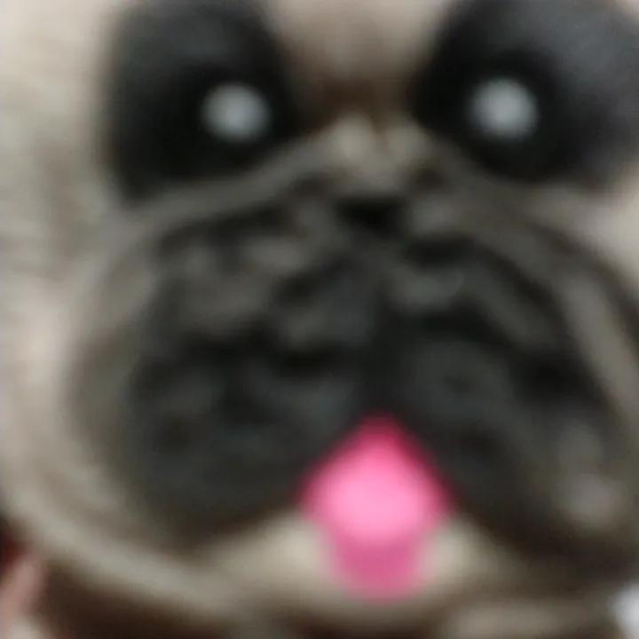 cleitinho_adms