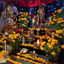 @_botanicalasenorablanca