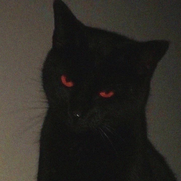 DEADLUVE - Dark