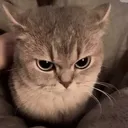 @feelfaadi2