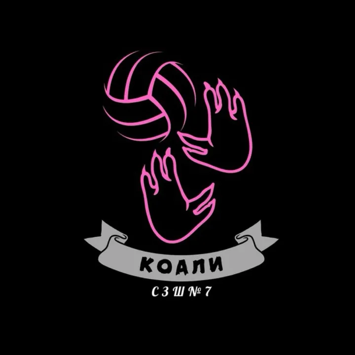 @volleyball.7.school