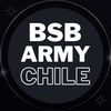 bsbarmychile