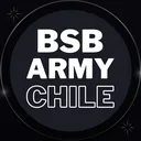@bsbarmychile