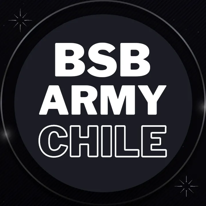 @bsbarmychile