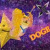 sarah_the_doge