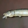 fishskinlures