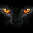 @shoshossss123