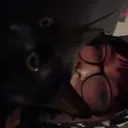 @kellyhascooties