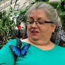 @feistybutterflytarot