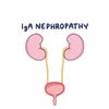 iganephropathyph