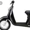 moped.cousins