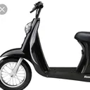 @moped.cousins