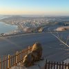 vloralabe_