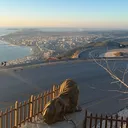 @vloralabe_