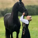 @equestrianmadelen