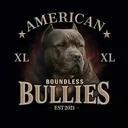 @boundlessbullies