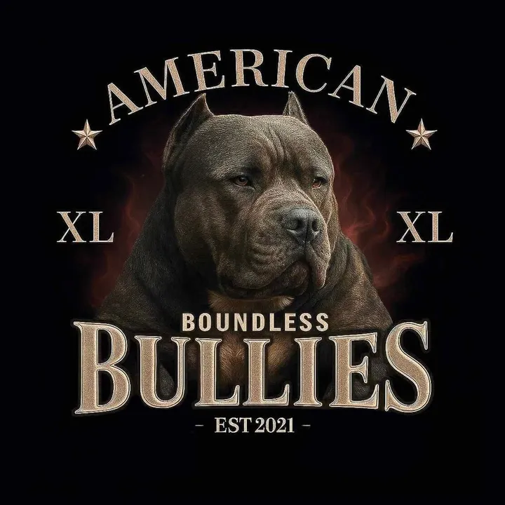 boundlessbullies