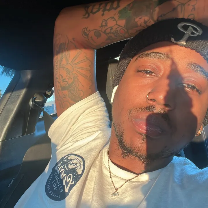 mike.davinci