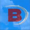 blumereceipts