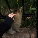 @marwa.jan.psj