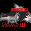 neighborhoodbullyzllc