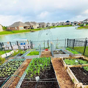 mailakeviewgarden