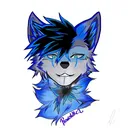 @ronaldtc93