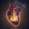 yaa.its_mansoor2