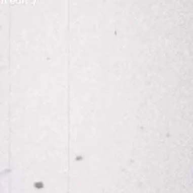 flxmingomulti