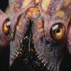 exoplanetwildlife