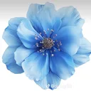 @luva1eah1