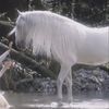 unicorn676741