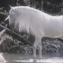 @unicorn676741
